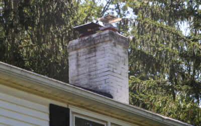 chimney inspections in Montclair, NJ